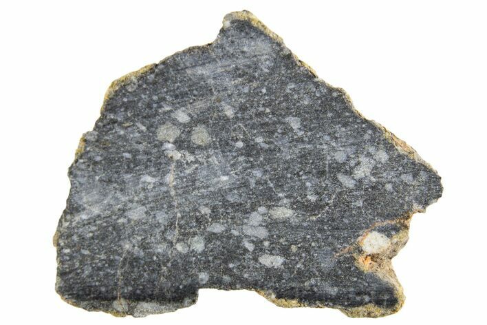Polished Lunar Meteorite ( g) End Cut Slice - NWA #333178